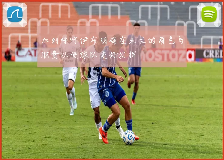 加利呼吁伊布明确在米兰的角色与职责以便球队更好发挥