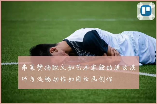 弗莱赞扬欧文如艺术家般的进攻技巧与流畅动作如同绘画创作