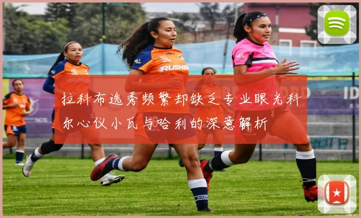 拉科布选秀频繁却缺乏专业眼光科尔心仪小瓦与哈利的深意解析