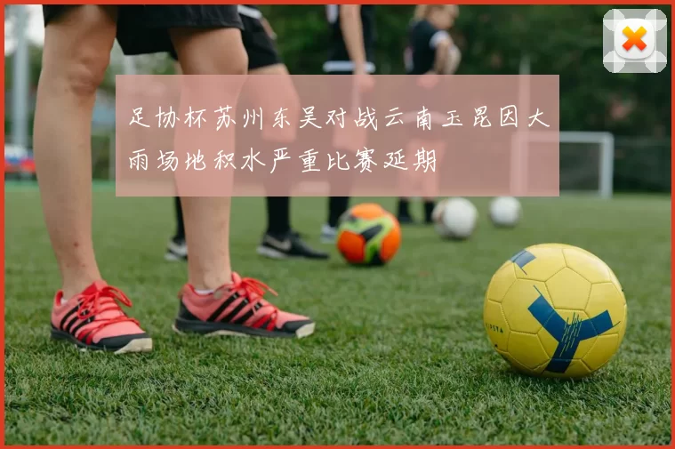 足协杯苏州东吴对战云南玉昆因大雨场地积水严重比赛延期