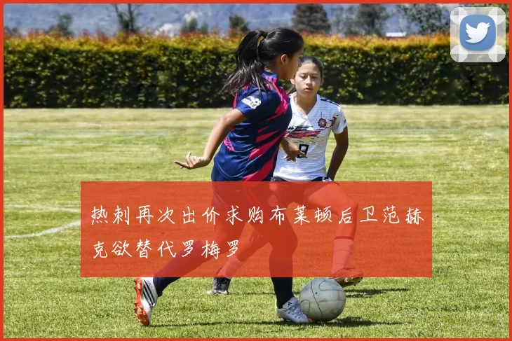 热刺再次出价求购布莱顿后卫范赫克欲替代罗梅罗